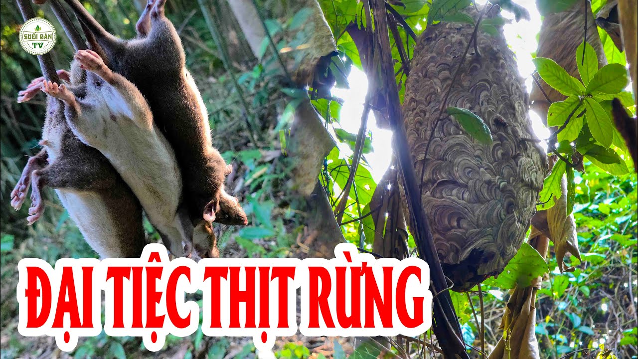 Thăm Bẫy Chúng Lớn – Bữa Tiệc Gặp Mặt Người Quen Cũ  ✧ Suối Bản Tv