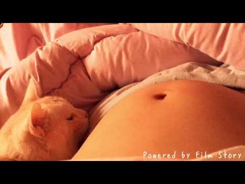妊娠5ヶ月 胎動と猫 Baby Movement With Cat Youtube