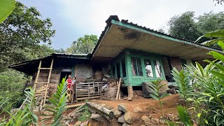 Janda Tinggal Di Hutanternyata Tak Punya Nasi Untuk Makan 