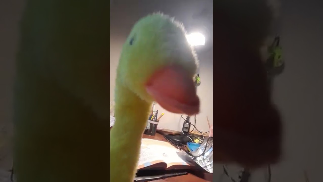 МЕНЯ ПОХИТИЛИ АНОНИМУСВ