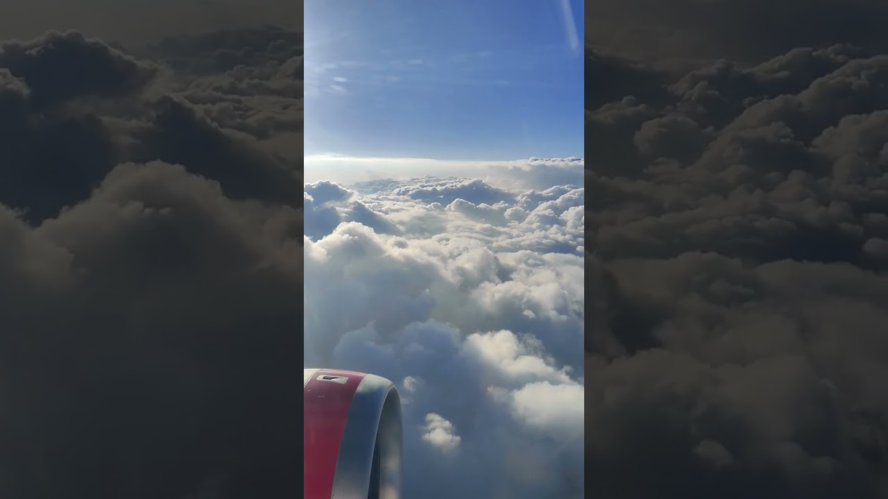 Смотреть «Above the clouds, the world feels limitless. 🌥️✈️ #CloudsFromAbove #PlaneView #SkyHigh #aesthetic» на YouTube Смотреть «Above the clouds, the world feels limitless. 🌥️✈️ #CloudsFromAbove #PlaneView #SkyHigh #aesthetic» на YouTube