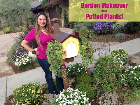 GARDEN MAKEOVER 🌺(Before/After)  Mailbox Makeover with Colorful Flowering Potted Plants!