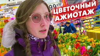 VLOG: ПРЕДПРАЗДНИЧНЫЙ АЖИОТАЖ. МНЕ СКАЗАЛИ, ЧТО Я ЖИВУ В КЛОПОВНИКЕ