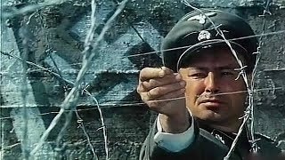 ПО СЛЕДУ ТИГРА / ВОЕННЫЕ ФИЛЬМЫ / ФИЛЬМЫ О ВОЙНЕ ПО СЛЕДУ ТИГРА / ВОЕННЫЕ ФИЛЬМЫ / ФИЛЬМЫ О ВОЙНЕ