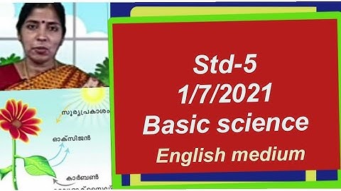 first Bell class 5 Basic science/work sheet/1/7/2021