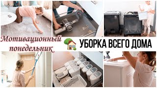 ✅УБОРКА И ОРГАНИЗАЦИЯ КУХНИ/УБОРКА ВАННЫХ КОМНАТ//ОБРАБОТКА ОТ НАСЕКОМЫХ/УБИРАЙСЯ СО МНОЙ Dreame V11