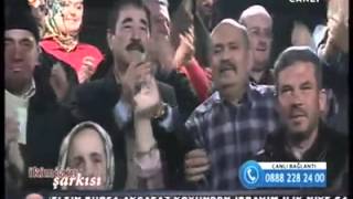 Ali Saruhan / Mersinli İsmail - Çatal Çamlar Arası Resimi