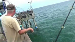 Dania beach pier fishing