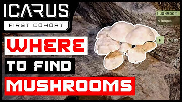 Icarus Where To Find Mushrooms - (Basics Guide)