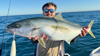 Yellowtail Kingfish Jigging & Stick Baiting