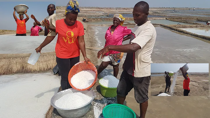 How to mine salt naturally in Ghana 🇬🇭 Ada, West Africa | natural salt quarry|
