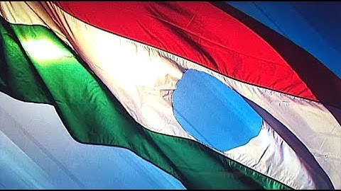 Amerikában is megemlékeztek 56-ról