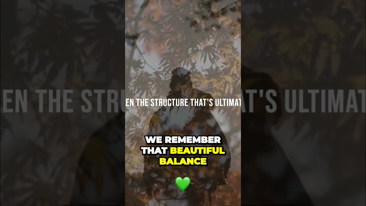 Find balance between structure freedom