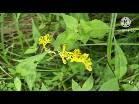 파주 율곡습지공원 감악산계곡 2024 추석명절