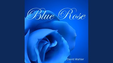 Blue Rose