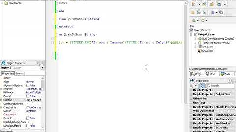 T2Ti ERP 2 0   Lazarus Starter   13 Codigo Compartilhado