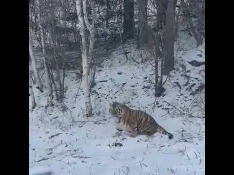 Бейне: Сумы облысы: ауылдар, аудандар, қалалар. Тростянец, Ахтырка, Сумы облысы