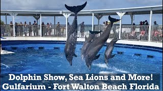 Gulfarium - Dolphin Show, Sea Lion Show & more! Fort Walton Beach Florida - Things to do in Destin