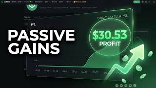 Copy Trading on OurBit: Passive Income Update