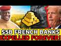 The $5B Insurance Shock: How Africa Kicked Out French Agri-Banks?