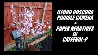 Pinhole Camera Vlog 2 - Ilford Obscura Pinhole Camera & Paper Negatives with Caffenol