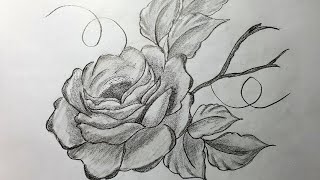 Cách vẽ hoa Hồng đơn giản, 3D bằng bút chì, bút màu