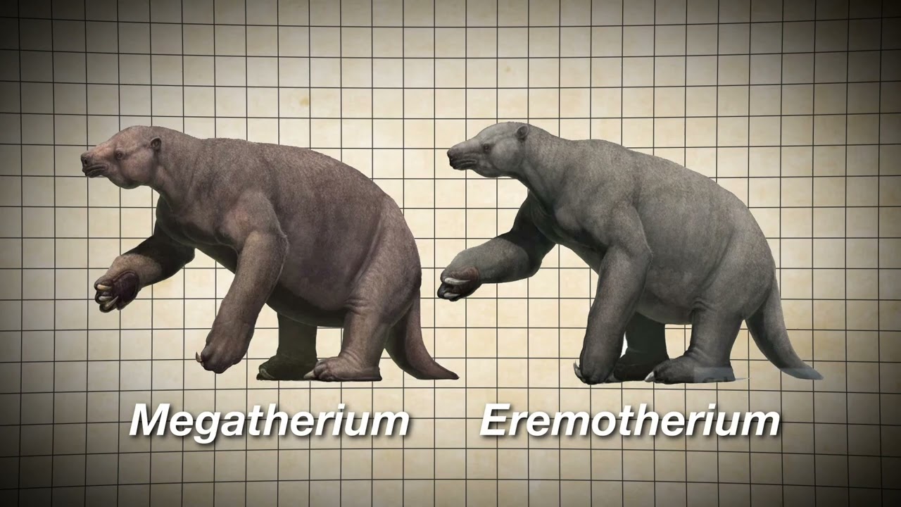 Eremotherium