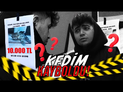 KEDİM KAYBOLDU ! / BULANA 10.000TL ÖDÜL !