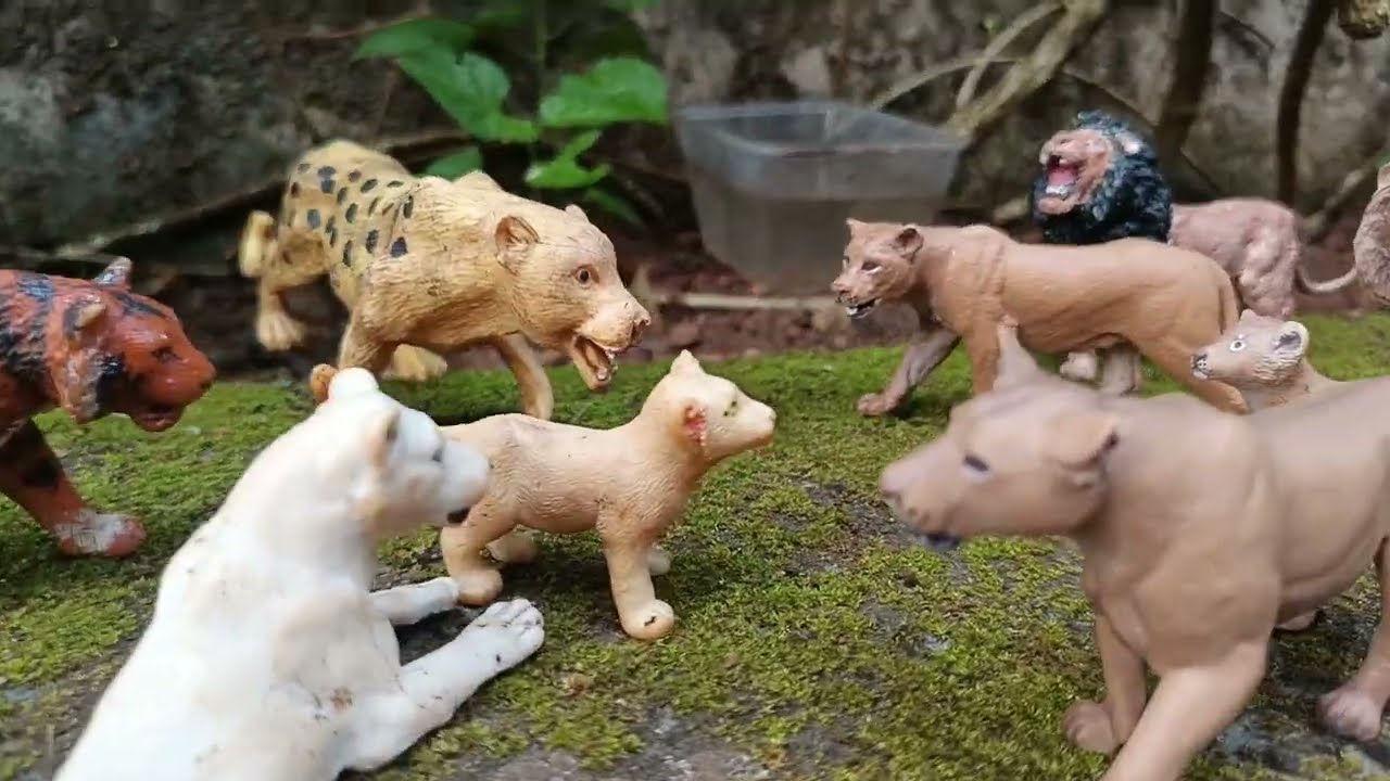 The white lioness episode- 4 #animals #movie 