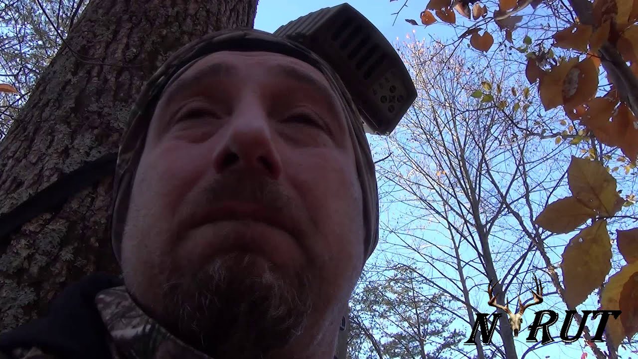 Maryland Deer Hunting N RUT spinal Tap Episode YouTube maryland-deer-hunting-n-rut-spinal-tap-episode-youtube