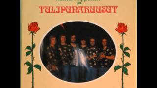 Raimo Piipponen&Tulipunaruusut Limperin muorin humppa