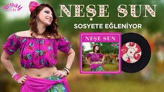 Neşe Sun - Sosyete Eğleniyor - Sulukule Eğlencesi Resimi