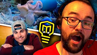 🔴 ANIMALES INTELIGENTES 🐙 REACCIÓN a MARK ROBER 💡 Charla Xokas