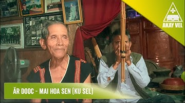 Ta beng: ĂR DOOC (Lư ke lư) - Mai Hoa Sen