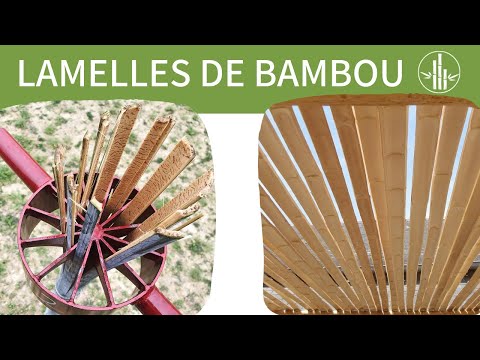 Vidéo: Comment couper du bambou à la maison ?