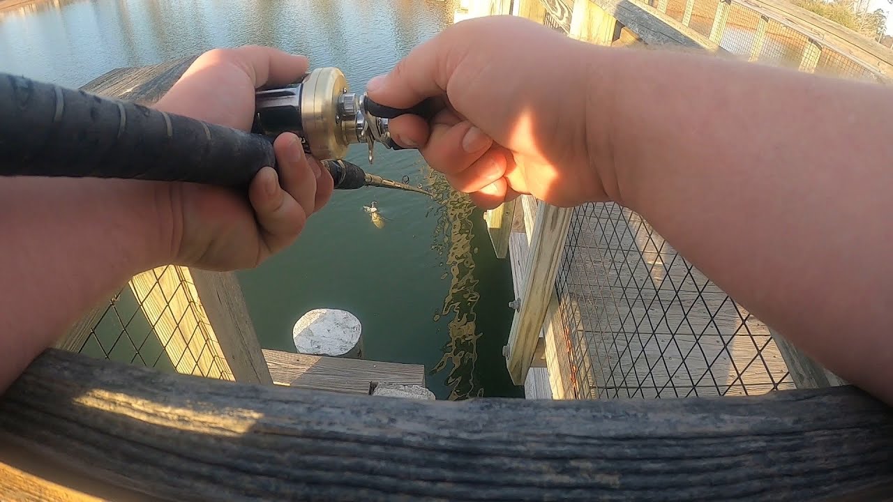 Public Pond Swimbait Bass Fishing – Myrtle Beach Cast2Catch