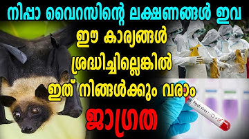 Nipah virus ; ശ്രദ്ധിക്കേണ്ട കാര്യങ്ങൾ | Oneindia Malayalam
