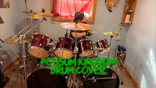 Possum Kingdom - Toadies - A PmannLee Drum Cover