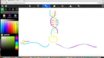 IBDP Biology Topic 7.1 DNA Replication student explanation via screencast 3