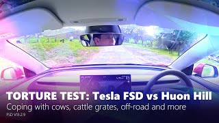 Tesla FSD Australian torture test: Climb Huon Hill and dodge the cows