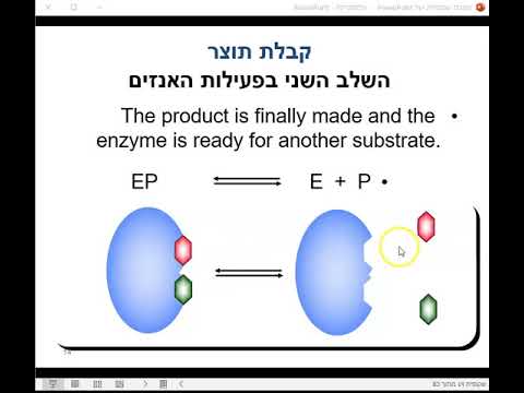 וִידֵאוֹ: כיצד נוצר אתר פעיל של האנזים?