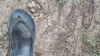 low tech check dam have unintended consequences.