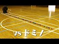 【走る！キョロちゃん缶】ドミノと走ってみた の動画、YouTube動画。