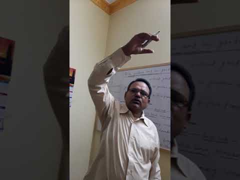 Essay on my school garden for class 1 image