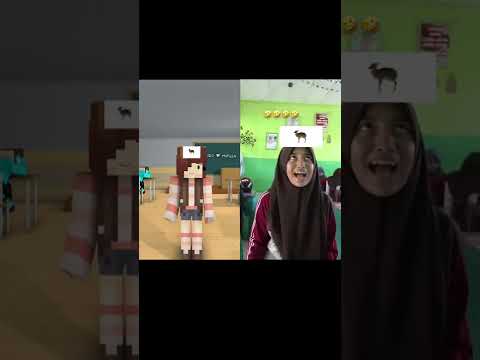 Original vs Animation