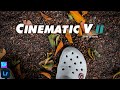 How to edit Cinematic V 2 - Lightroom mobile preset free DNG / lightroom presets 2022