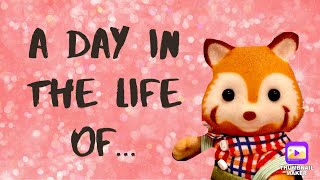 A Day In The Life Of Robert Red Panda | Stop Motion Short Stories | Sylvanian Families |
