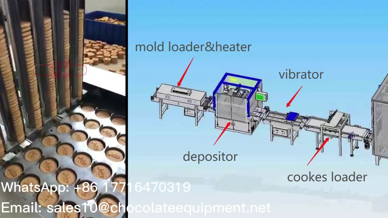 Cookies with chocolate attached to the bottom. YouTube