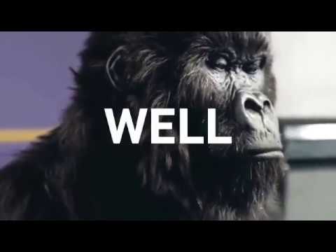 HODL ON - Bitcoin Gorilla - Can you feel the pumpening?