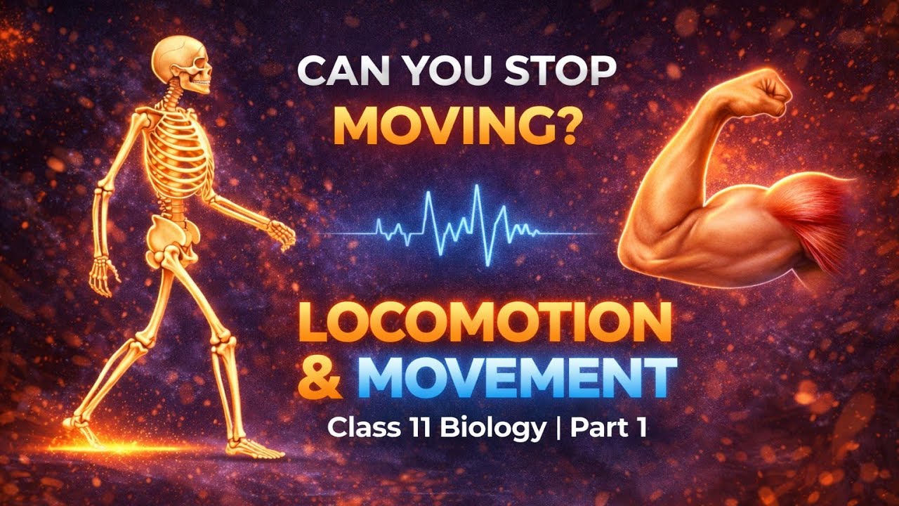 Class 11 Biology | Locomotion and Movement | Part-1 | NCERT Explained in Hindi